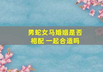 男蛇女马婚姻是否相配 一起合适吗